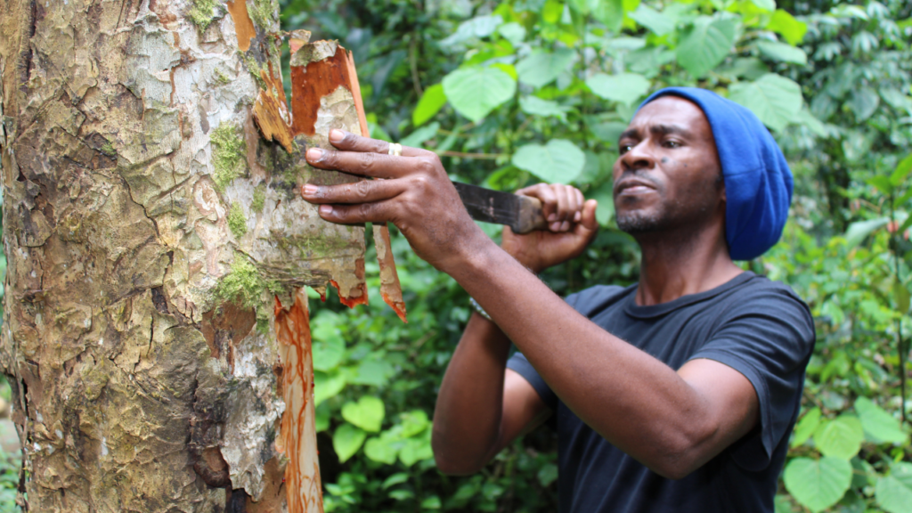 Historique ARAM Bio Diversite 1024x576